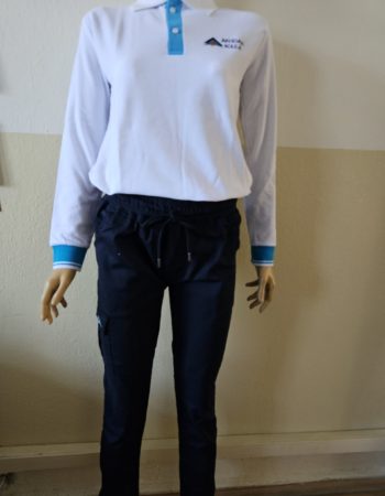 066693a3-8df5-437a-80c1-22a1e28b630b